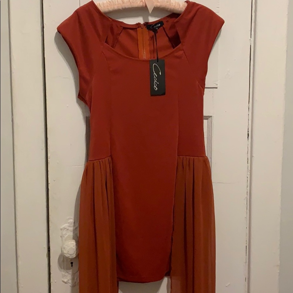 Rust Cocktail Dress - Picture 9 of 10